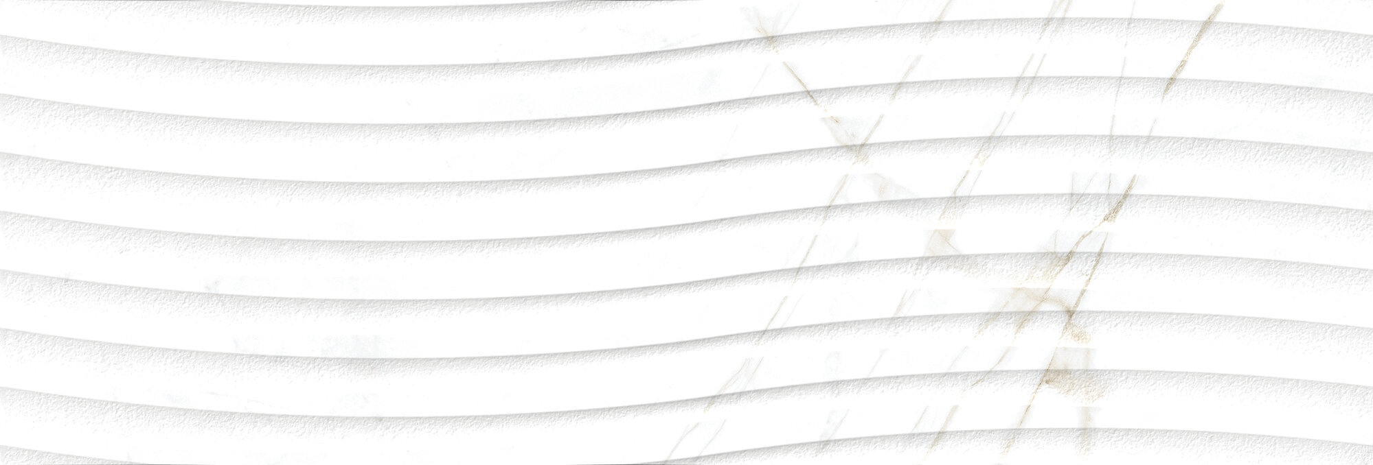 Dual 33x100 - Image 9