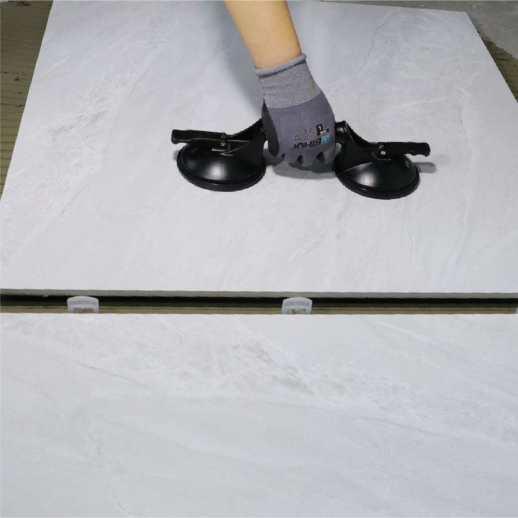Bihui Double Head Suction Cup - Image 2