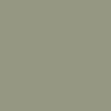 Matt Aloe Green