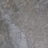 Manaos Earth