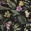 Botanical Coal