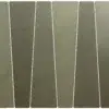 Bamboo Musgo